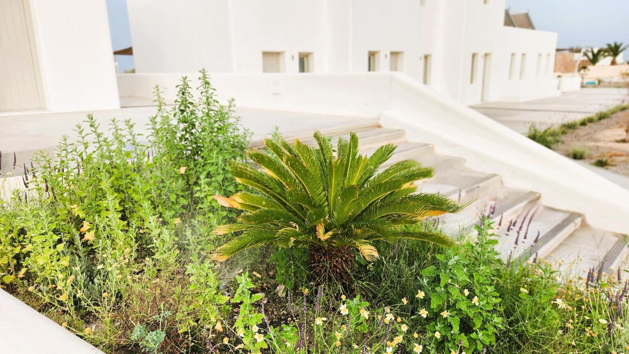 Hayal Suites Santorini Emborió Kültér fotó